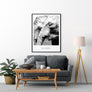 Elephants Poster - Printers Mews
