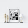 Elephants Poster - Printers Mews