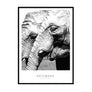 Elephants Poster - Printers Mews