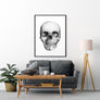 Human Skull Poster - Printers Mews