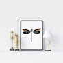 Dragonfly Poster - Printers Mews