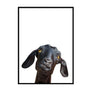Goat Poster - Printers Mews