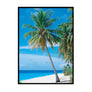 Palm Tree - Printers Mews