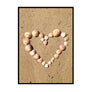Heart Of Shells - Printers Mews