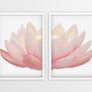 Flower | Flower - Printers Mews