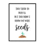 We Were Seeds - Printers Mews