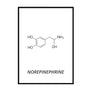 NOREPINEPHRINE - Printers Mews