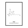 THC (tetrahydrocannabinol) - Printers Mews