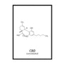 CBD (cannabidiol) - Printers Mews
