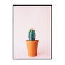 Pink Cactus Poster - Printers Mews