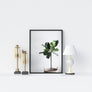 Potted Fig Poster - Printers Mews