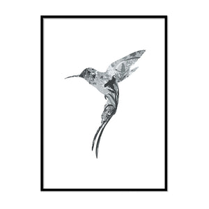 Hummingbird Poster - Printers Mews