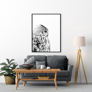Owl Poster - Printers Mews
