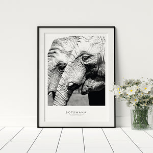 Elephants Poster - Printers Mews
