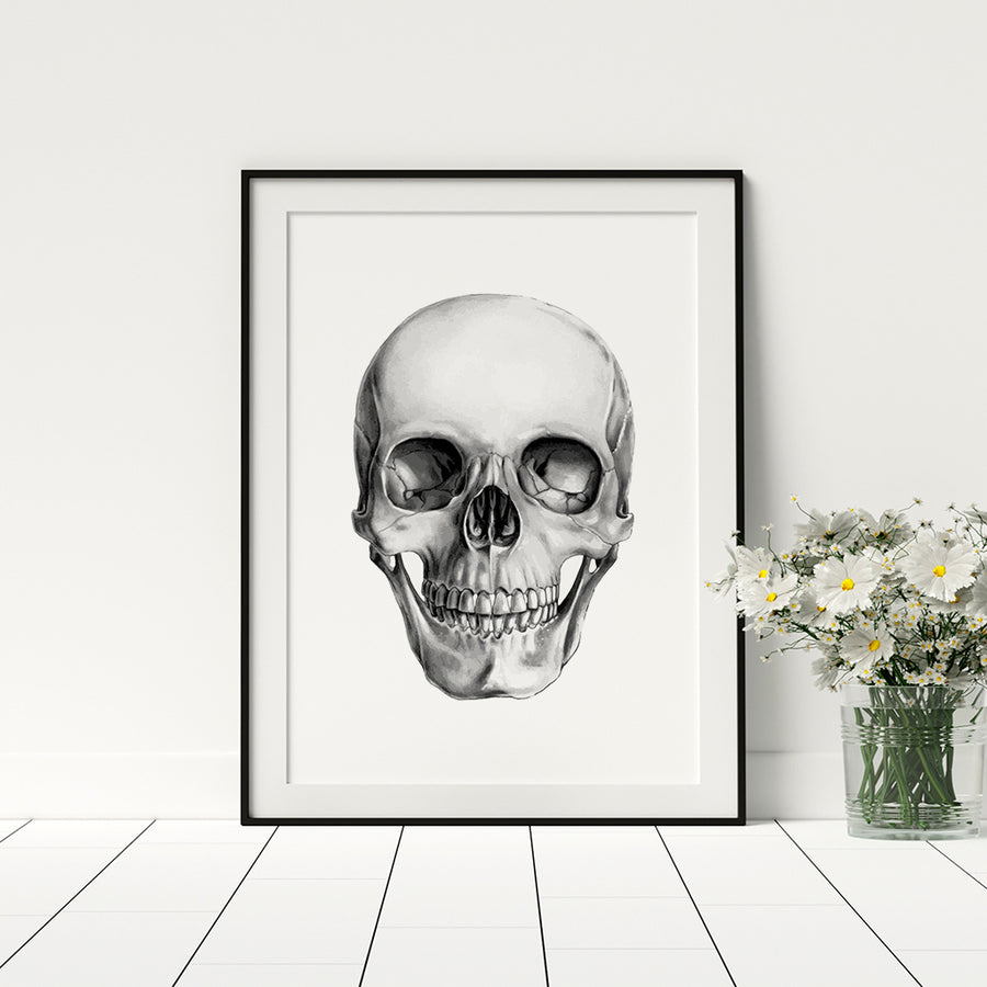 Human Skull Poster - Printers Mews