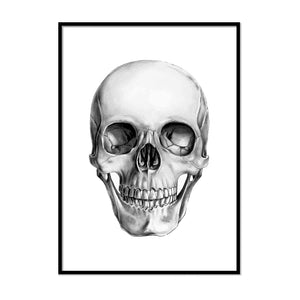 Human Skull Poster - Printers Mews