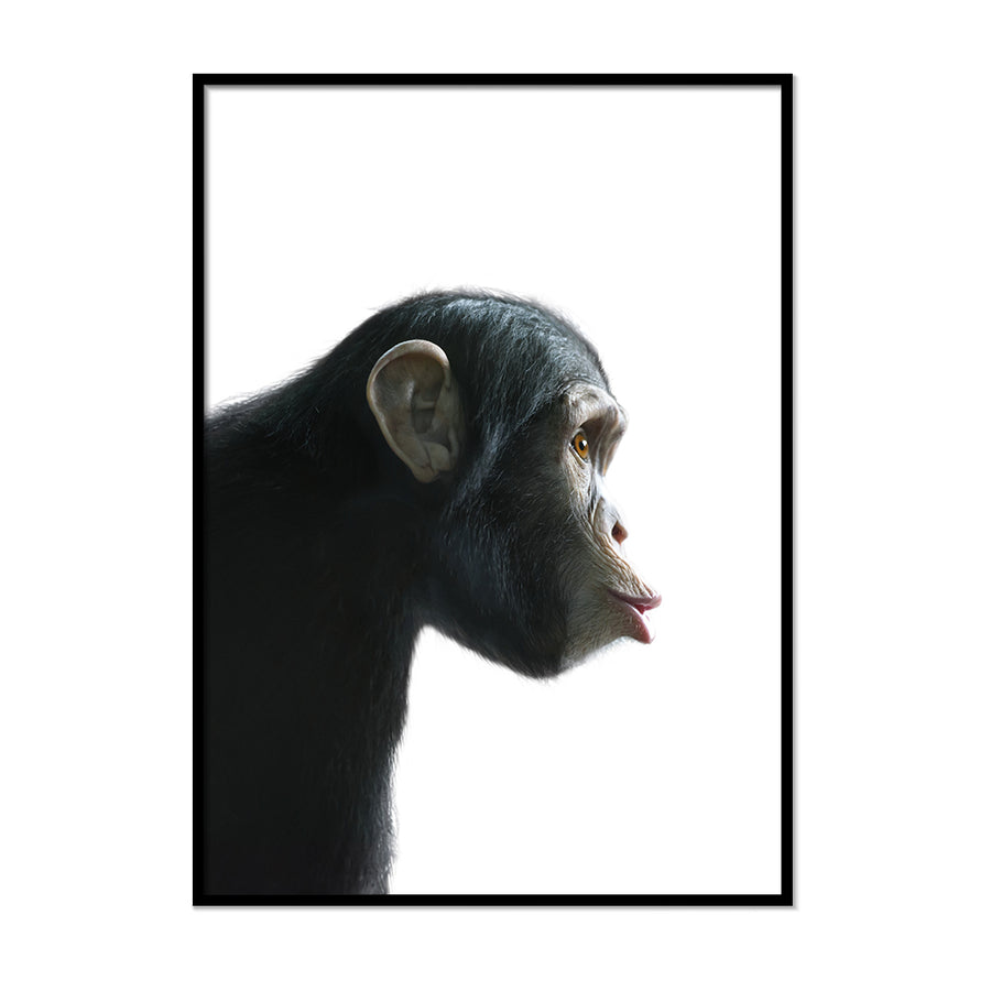 Chimp Poster - Printers Mews