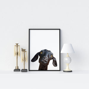 Goat Poster - Printers Mews
