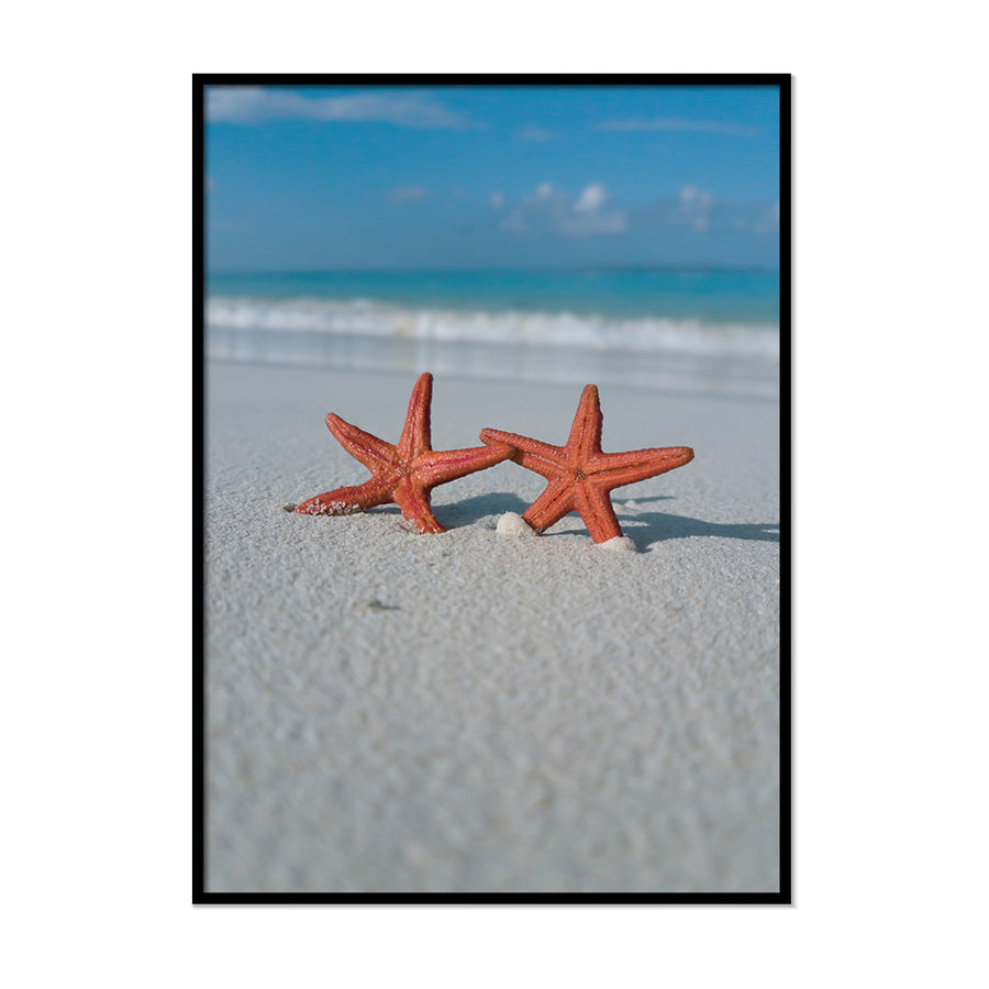 Starfish 2 - Printers Mews
