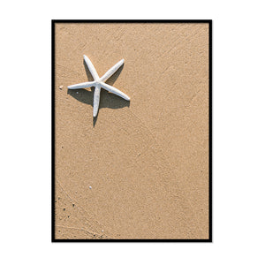 White Starfish On Sand - Printers Mews