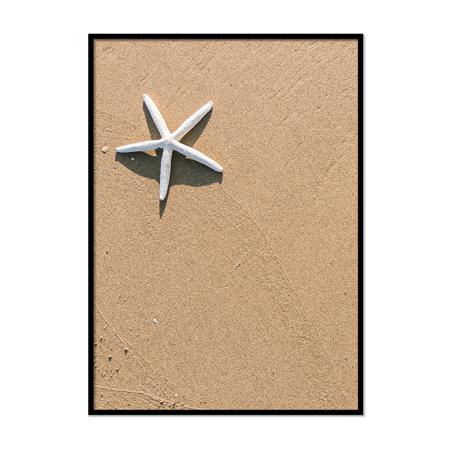White Starfish On Sand - Printers Mews