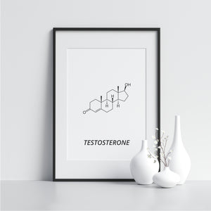 TESTOSTERONE - Printers Mews